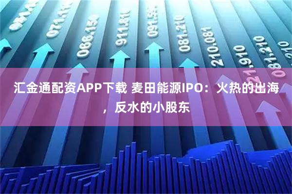 汇金通配资APP下载 麦田能源IPO：火热的出海，反水的小股东